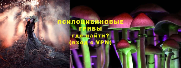 спиды Елизово
