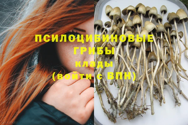стаф Армянск